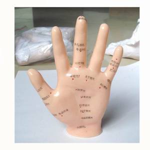 उच्च गुणवत्ता के लिए शिक्षण हाथ एक्यूपंक्चर मॉडल 13cm सीखने के छात्रों - Product Image 5
