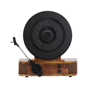 2025 nhà sản xuất bán buôn độc đáo dọc gramophone bàn xoay Vinyl ghi lại máy nghe nhạc với BT - Product Image 2