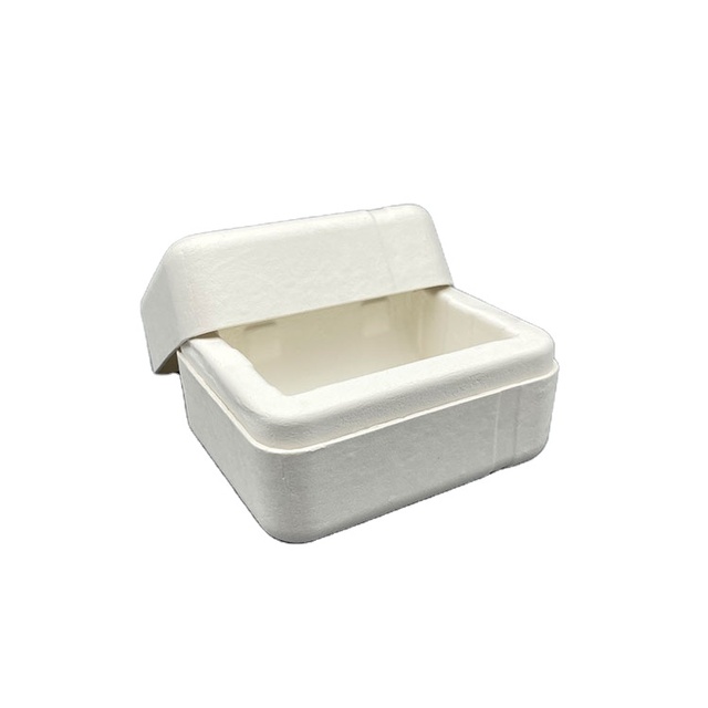 Eco Friendly Biodegradable Bagasse Fiber Pulp Skincare Shampoo Cosmetic Make up Molding Packaging Gift Box