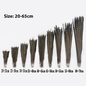 Groothandel 20-60Cm Natuurlijke Fazant Staartveren Grappige Kat Stick Diy Hoofdtooi Accessoires Geverfde Veren - Product Image 2