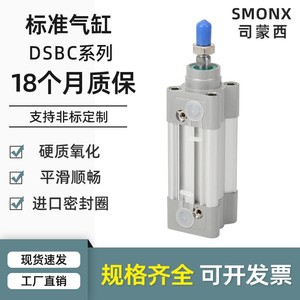 Pour cylindre de type Festo DSBC40/50/63/80/100/125 Pièces pneumatiques avec 25*50X75/150/200PPVA-N3 - Product Image 4