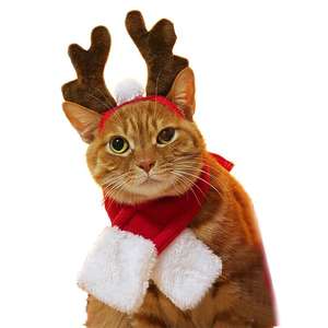 Suministros navideños <span class=keywords><strong>para</strong></span> mascotas, horquilla <span class=keywords><strong>para</strong></span> perro, gato, astas, diadema, sombrero <span class=keywords><strong>para</strong></span> perro, accesorios <span class=keywords><strong>para</strong></span> mascotas, venta al por mayor - Product Image 3