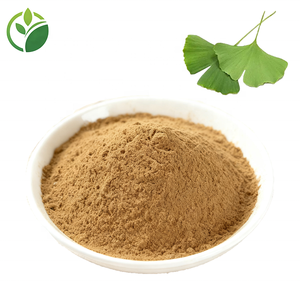 Fabriklieferung Großhandel Hochwertiger <span class=keywords><strong>Ginkgo</strong></span> <span class=keywords><strong>Biloba</strong></span> Extrakt 24% Flavone <span class=keywords><strong>Ginkgo</strong></span> <span class=keywords><strong>Biloba</strong></span> Blattextrakt Pulver <span class=keywords><strong>Ginkgo</strong></span> Blattextrakt - Product Image 1