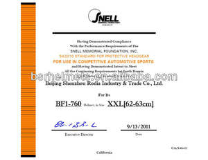 Casque BSR FIA8859-2025 SA2020 intégral en fibre de carbone avec doublure en mousse, design Predator, tailles XS-XXXL - Product Image 6