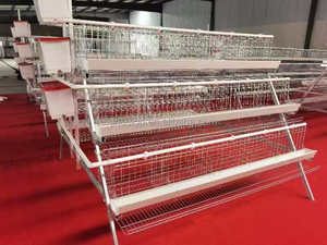 Système d'élevage moderne professionnel de type H, équipement d'élevage automatique de poulets de chair, cage à poulets à haute productivité - Product Image 5