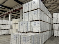 Vente en gros promotionnelle : Carton blanc Liansheng GC1 C1s 100% pâte de bois FBB pour impression et emballage