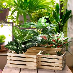 Caisses <span class=keywords><strong>en</strong></span> bois rustiques pour affichage décoratif vintage, ensemble de caisses gigognes inachevées pour le stockage et la décoration de style ferme - Product Image 6