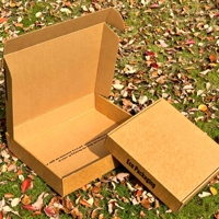 Boîtes d'expédition pliables en carton ondulé kraft avec impression de logo personnalisée en gros pour l'emballage de cadeaux et de cosmétiques