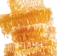 Hot Selling Natural Fresh Honeycomb 100% Bio essbare Wild honig Bulk Honeycomb in Box Verpackung