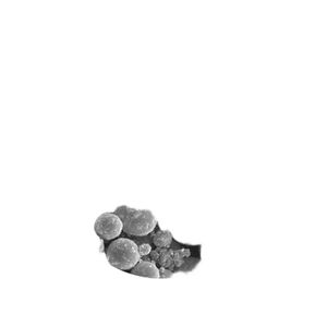 Polvo de Tungsteno de Alta Pureza al 99.95% al por Mayor de Fábrica - Product Image 4