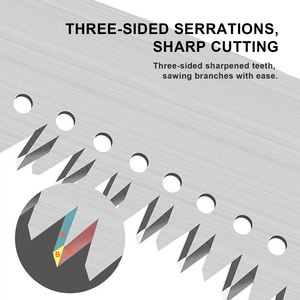 Scie à perche à dents trilatérales <span class=keywords><strong>pour</strong></span> coupe rapide, outil professionnel de taille <span class=keywords><strong>pour</strong></span> branches hautes, scie d'élagage 65MN <span class=keywords><strong>pour</strong></span> verger et jardin - Product Image 4