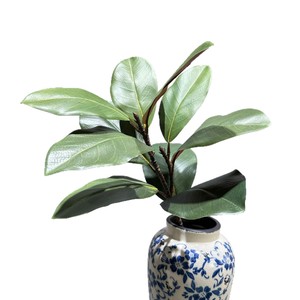 Feuilles de Magnolia Artificielles Meng Jie 30cm-100cm Vertes, Branche Unique à 10 Feuilles, Arrangement Décoratif pour Plantes - Product Image 5