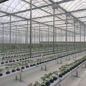 Invernadero agrícola multitramo aislado de vidrio templado con control solar grande con ventilación totalmente automatizada para agricultura - Product Image 3