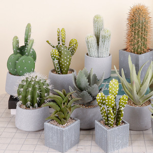 Artificial Cactus Potted Plant High Simulation Indoor Decor 24cm Succulent Bonsai Desktop Ornament - Product Image 1