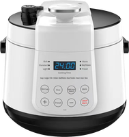 Autocuiseur électrique multifonctionnel, modèle de promotion, 10 quad