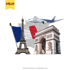 Services d'expédition <span class=keywords><strong>express</strong></span> porte-à-porte via <span class=keywords><strong>DHL</strong></span>/UPS/FedEx avec un transit de 3 à 8 jours pour FBA vers la France - Product Image 1