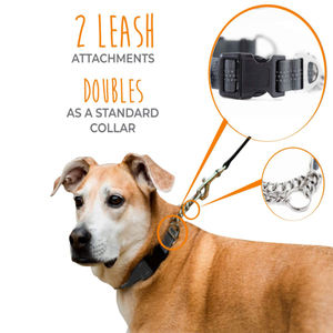 <span class=keywords><strong>Collar</strong></span> de perro <span class=keywords><strong>collar</strong></span> limitada cinch cadena del equipo para no sacar Correa caminando - Product Image 5