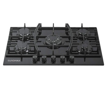 Built In Stainless Steel 5 Burner