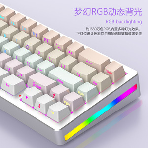 Clavier mécanique Skyloong M67, 67 touches, rétroéclairage RVB, clavier de jeu à trois modes, programmable, montage Gasket, échange à chaud - Product Image 3