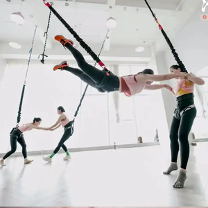 Equipo Completo de Bungee Jumping Aéreo de 60 kg, 80 kg, 100 kg, 150 lb, 200 lb, Cuerda de Bungee para Yoga y Danza - Product Image 6