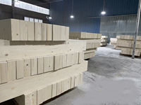 Usine En Gros Moderne En Bois 16-Slot Cassette Bande De Rangement Organisateur Rack pour Cassette Collections Audio Accessoire