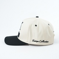 Casquettes de baseball structurées avec logo personnalisé Chapeaux de baseball à panneau dur 5 panneaux Tissu en coton avec broderie