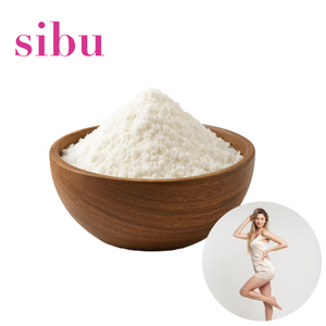 Vente en gros d'usine Supplément de soutien métabolique Poudre de Sibu Régulation de l'appétit Poudre de Sibu brute Gestion du poids corporel Sibu - Product Image 1