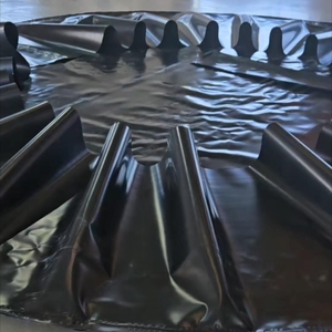 Bể nuôi trồng thủy sản dùng màng địa kỹ thuật Pondliner cho nuôi cá Tilapia, tuổi thọ cao - Product Image 5