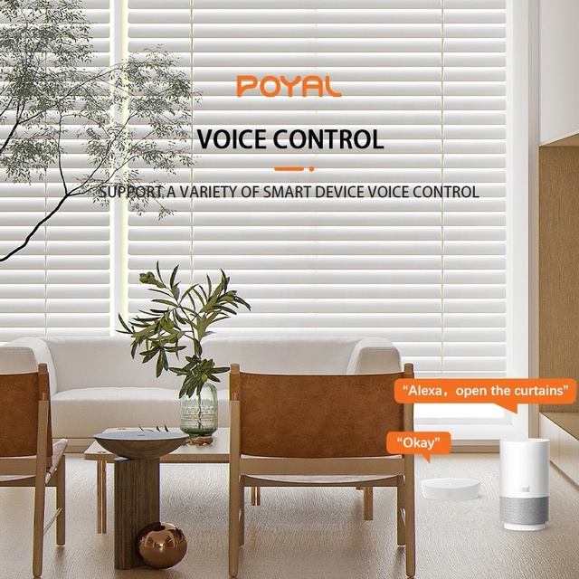 Customized Tuya Smart Digital Blinds 25mm Tubular Motor Remote Control with Roller Shutter