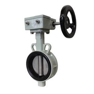 ट्रेंडिंग उत्पाद नए आगमन तितली फ्लैप प्रकार चेक वाल्व स्टेनलेस डिस्क तितली वाल्व मशीन पाइप फिटिंग के लिए - Product Image 2