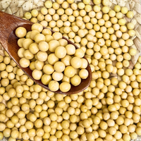 Culture innovante de soja riche en protéines et en nutriments en Chine, vente chaude