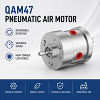 Moteur pneumatique à micro-vanne QAM47, couple élevé, faible vitesse, réversible, vitesse variable, antidéflagrant pour l'automatisation industrielle