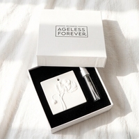 Diffuseur d'huiles essentielles en céramique personnalisé avec logo, parfum d'ambiance en plâtre, fleur en porcelaine, diffuseur de parfum pour voiture suspendu
