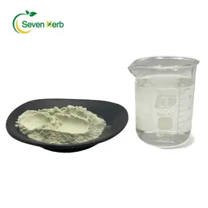 Extracto de polvo de kiwi liofilizado orgánico Natural 100% puro Soluble en agua, polvo de kiwi secado por pulverización
