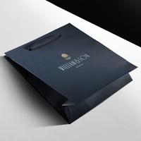 Sac de luxe en papier couché personnalisé avec estampage à chaud, logo en feuille d'or et d'argent, idéal pour événements VIP et vêtements