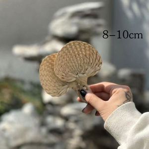 Traditional Chinese Craft Natural Color <b>Bamboo</b> Raffia Fan Summer Hand Palm Leaf Straw Rattan Woven Fans - Product Image 3