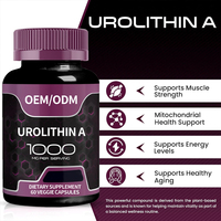 Capsules d'Urolithine A en marque blanche OEM pour l'activation des mitochondries, anti-âge, santé cellulaire, prix d'usine en gros, complément alimentaire