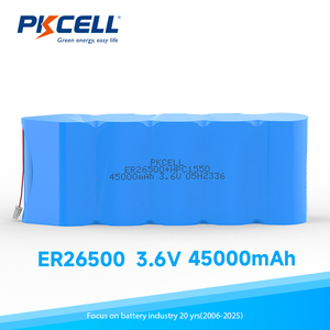 PKCELL ER26500 OEM 리튬 배터리 팩 7.4v 9.6v 18v 24v 36v 48v 72v 12v 배터리 팩 - Product Image 6