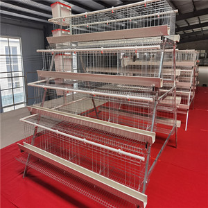 Gabbia Automatica per Polli da Deposizione, Attrezzatura Automatica per Allevamento Avicolo, Gabbia a Batteria Automatica, Jaula <span class=keywords><strong>De</strong></span> Gallina Ponedora - Product Image 6