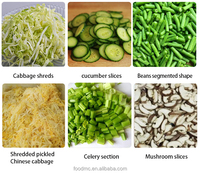 Máquina cortadora comercial de patatas, pepinos, rábanos, zanahorias, máquina cortadora de Chile, máquina trituradora de repollo