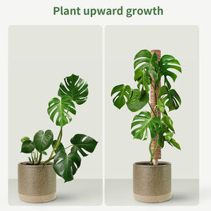 Supports décoratifs de plantes en fibre de coco pour le jardinage domestique - Product Image 3