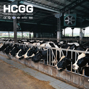 Edificio Prefabricado <span class=keywords><strong>de</strong></span> Acero para Ganadería, Estructura Espacial, Establos para <span class=keywords><strong>Vacas</strong></span>, Construcción con Vigas en H - Product Image 2