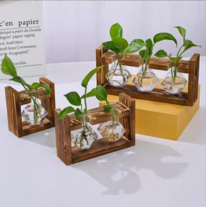 Vaso Idroponico KIKA Moderno ed Ecologico <span class=keywords><strong>in</strong></span> Vetro e <span class=keywords><strong>Legno</strong></span> Intagliato a Mano, Design Circolare, Porta Piante per Interni/Esterni, Decorazione <span class=keywords><strong>da</strong></span> Tavolo - Product Image 4