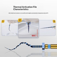 Niceden Clase I Limas Dentales para Tratamiento de Conductos Radiculares, Máquina Oral, Gran Conicidad SX-F3, Limas de Canal de Níquel-Titanio con Activación Térmica