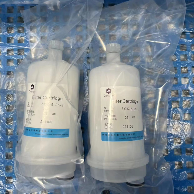 5-inch Capsule Filter for Water Treatment Home and Commercial Use Durable and Efficient