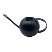 Arrosoir d'extérieur en acier inoxydable noir pour jardin, arroseur d'irrigation, arrosoir pour plantes d'intérieur avec long bec
