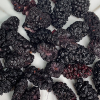 FD Gedroogde Bramen Knapperige Snacks Klaar om te eten Niet-gefrituurd Additiefvrij Bak ingrediënten Bulk 1KG