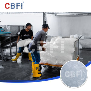 100 Tonnen Industrielle Röhreneismaschine mit Motor & Lager Automatische Steuerung 1000kg Lagerkapazität CBFI Marke - Product Image 6