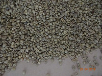 VIETNAM ROBUSTA COFFEE GREEN BEANS S20 New Crop High Quality Low Price Top Factory-HANFIMEX 0084374074818 Grade 1 Wet Polished