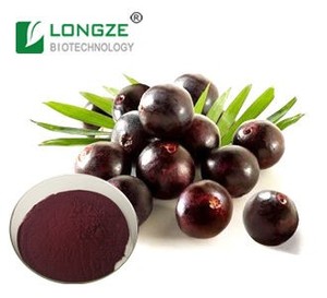 Заводская поставка, 100% натуральный пищевой порошок ягод асаи, экстракт диких культивируемых фруктов в вакуумной упаковке, пластиковый барабан - Product Image 4